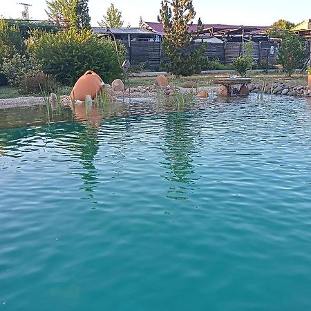 Hotel Albergue Bioclimatico Sabinares Del Arlanza Puentedura Exteriör bild