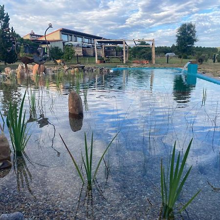 Hotel Albergue Bioclimatico Sabinares Del Arlanza Puentedura Exteriör bild