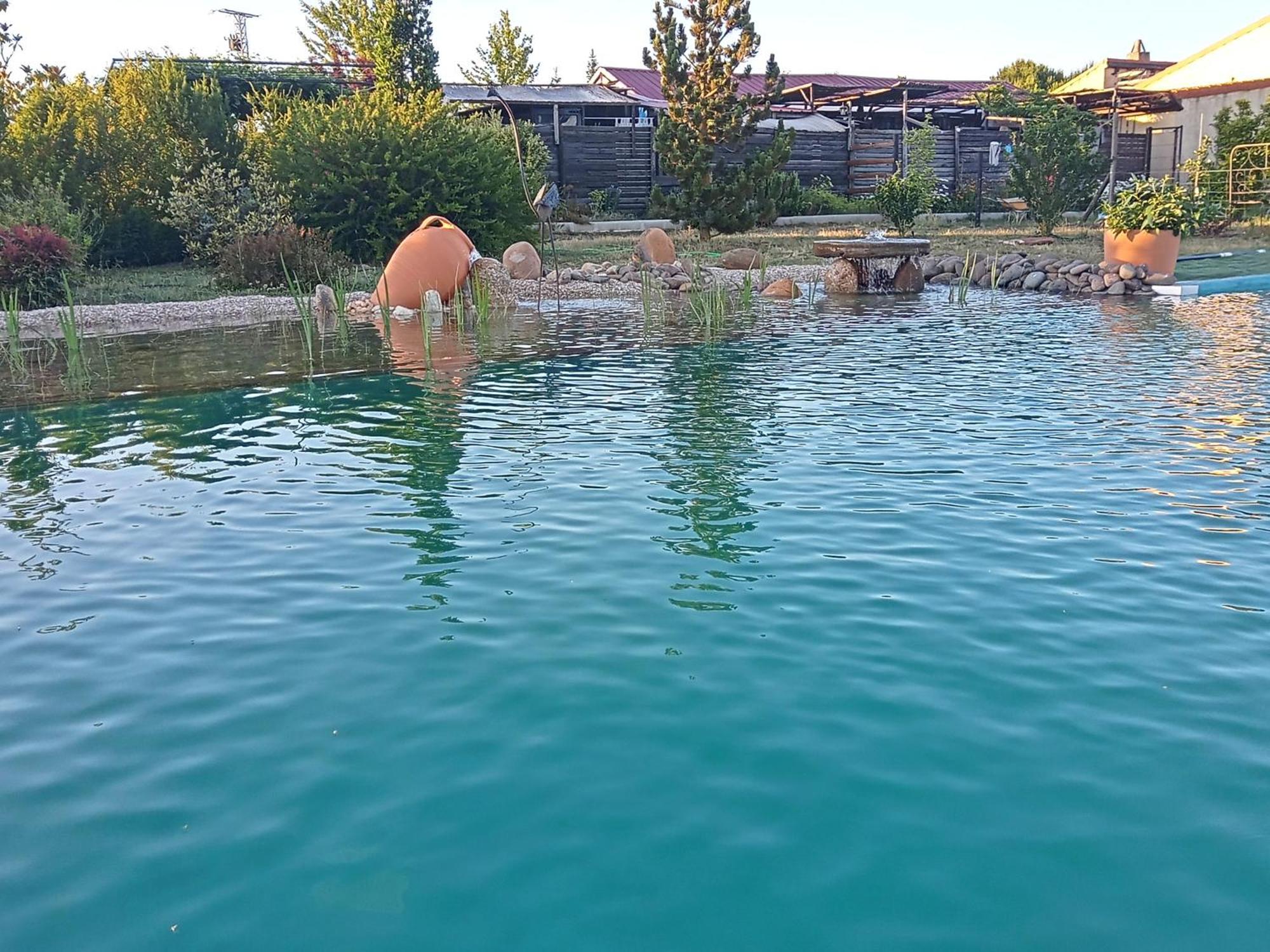 Hotel Albergue Bioclimatico Sabinares Del Arlanza Puentedura Exteriör bild