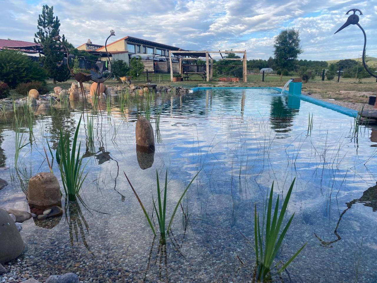 Hotel Albergue Bioclimatico Sabinares Del Arlanza Puentedura Exteriör bild