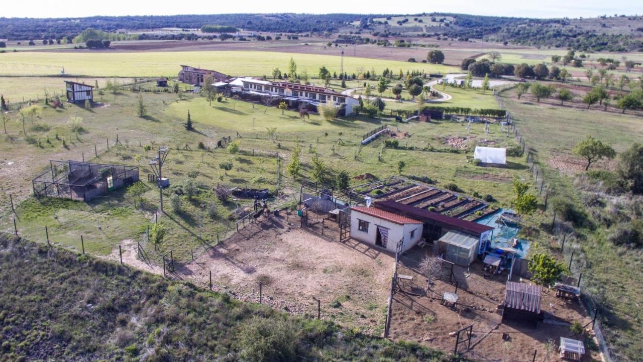 Hotel Albergue Bioclimatico Sabinares Del Arlanza Puentedura Exteriör bild